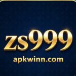 zs999 game