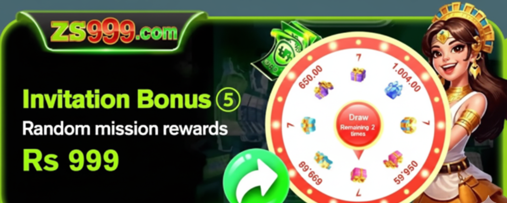 zs999